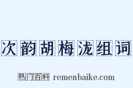 次韵胡梅泷组词是什么意思的图片